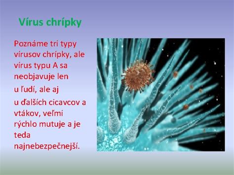 Známe typy vírusov spôsobujúce nádchu