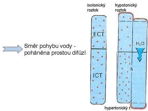 Graf porovnávajúci izotonický a hypertonický roztok