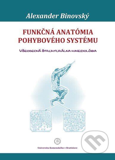 Anatómia mužského reprodukčného systému a spermatogenéza