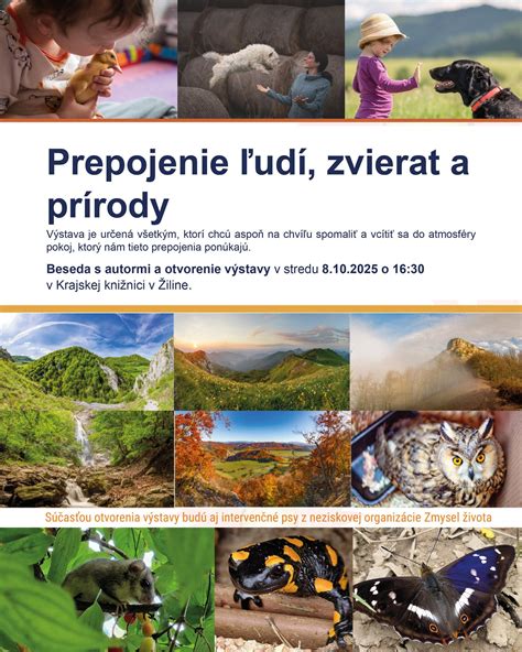 Grafika znázorňujúca prepojenie psychologickej podpory a spoločenskej empatie