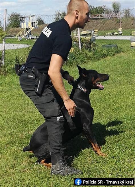 Policajný psovod s trénovaným psom