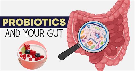 Probiotics for gut health