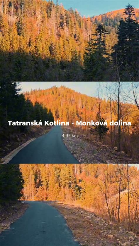 Ilustrácia moderného cyklochodníka v prírode