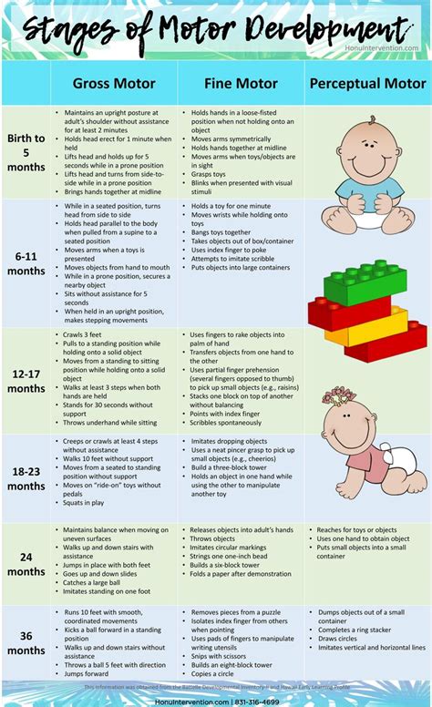 Timeline of psychomotor development 0-12 months