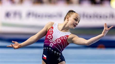 Tehotenská gymnastika