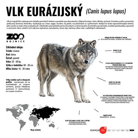 Infografika zobrazujúca základné novorodenecké reflexy.