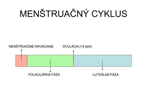 Cyklus na obrázku má 60 dní. Folikulárna fáza trvala 50 dní a luteálna 10 dní. Ovulácia tak prebehla približne 50.-51. deň cyklu