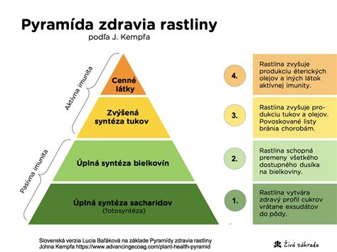 Schéma reprodukčného zdravia a plánovania rodiny