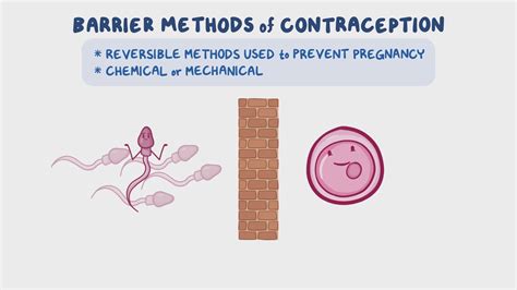 Barrier methods of contraception