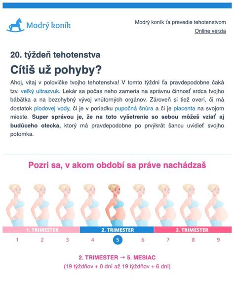 ukážka vnútornej strany tehotenského denníka s tabuľkou