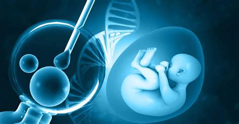 Párová konzultácia o IVF a genetickom testovaní
