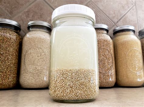 fermented grains