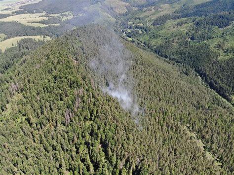 Dynamika rastu lesného porastu a vplyv prebierok