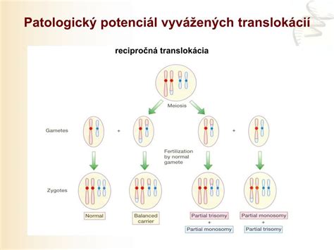 Reciproká translokácia