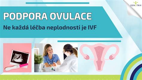 Párová podpora počas IVF