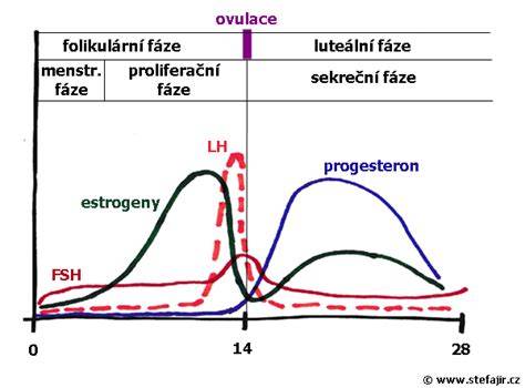 Graf hladín hormónov v krvi počas tehotenstva
