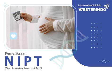 Princíp NIPT testu