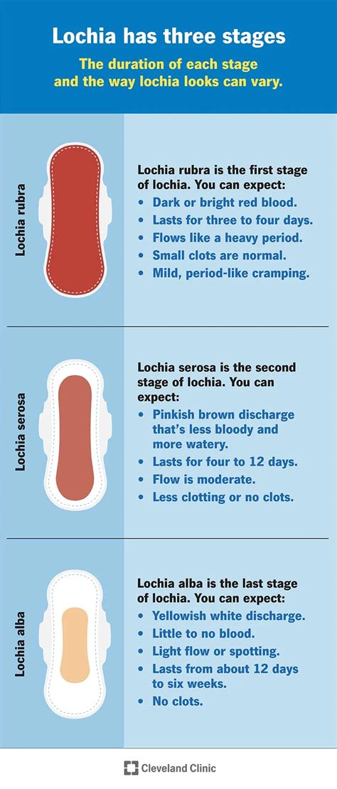 Stages of Lochia