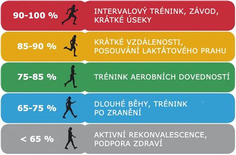 Graf srdcovej frekvencie v pokoji a pri záťaži