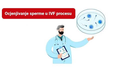 Schéma krokov IVF procesu