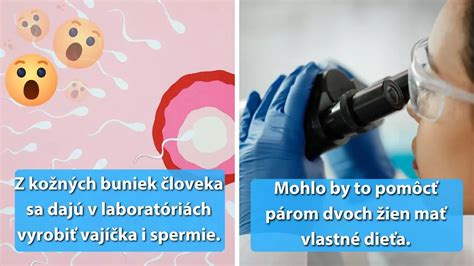 Priebeh kultivácie embrya v laboratórnych podmienkach