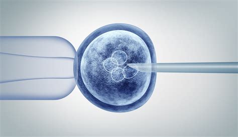 Základný princíp umelého oplodnenia IVF
