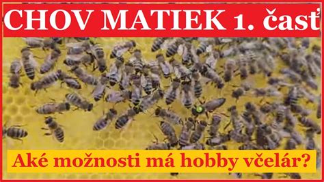 Schéma štartéra pre chov matiek