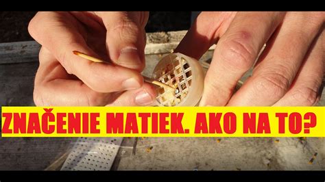 Farebná schéma pre značenie včelích matiek