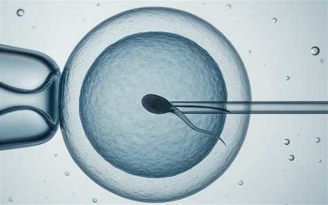 Proces oplodnenia in vitro