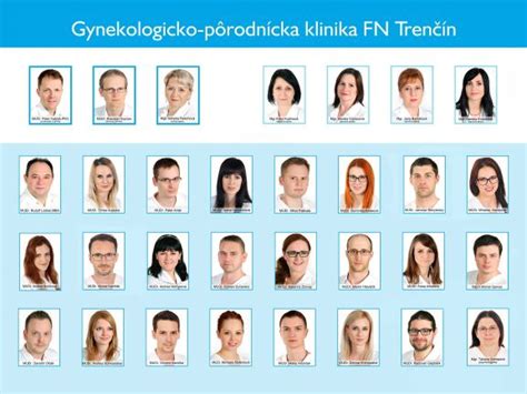 Schéma organizácie ambulantných služieb Gynekologicko-pôrodníckej kliniky