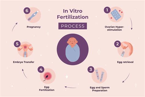 Proces mimotelového oplodnenia (IVF)