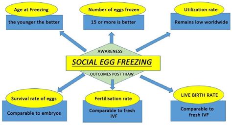 Ilustrácia: Proces zamrazenia vajíčok (social freezing)