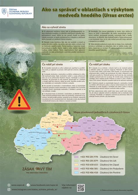 Záchrana otca pred medveďom baribalom
