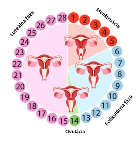 Infografika porovnávajúca rôzne metódy sledovania ovulácie