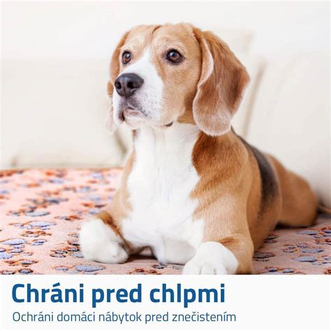 Zákony o držaní psov