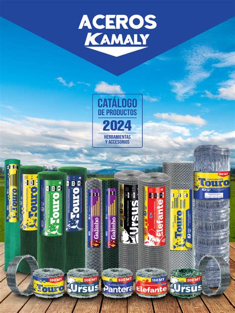 Prípad Amaly a Kamaly