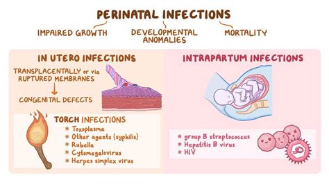 Diagram illustrating pathways of intrauterine infection