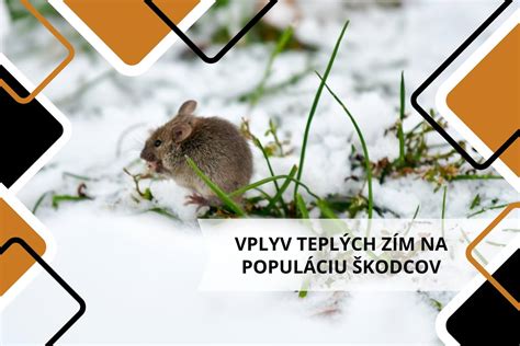 Vplyv silných vôní na dojčatá
