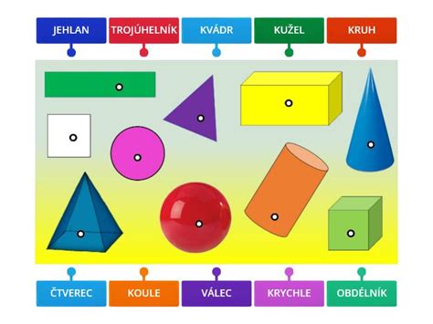 Diagram znázorňujúci rôzne tvary panenskej blany