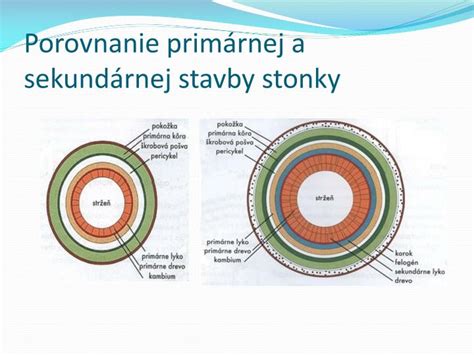 Porovnanie primárnej a sekundárnej trombocytózy