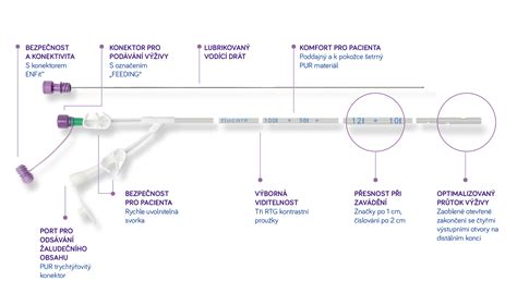 Ilustračný nákres PEG sondy zavedenej do žalúdka