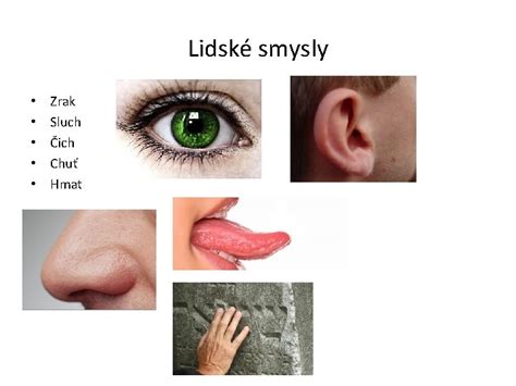 Zmyslový vývin: zrak, sluch, hmat v 4. mesiaci