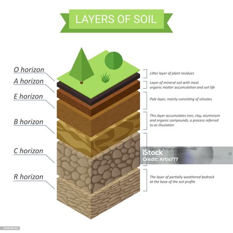 diagram absorpčnej vrstvy plienky