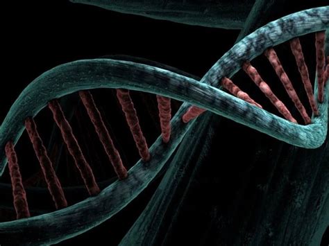 DNA analýza a jej využitie v súdnom procese určovania otcovstva