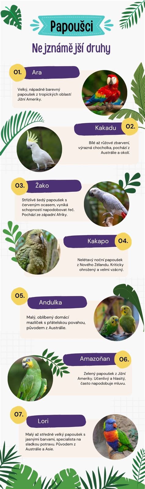 Druhy soplíkov a kašľa (infografika)