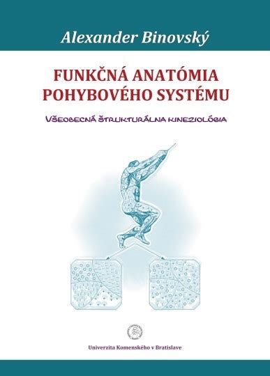Anatómia mužského reprodukčného systému
