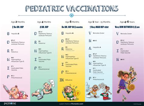 Infographic: Simplified vaccination calendar for children up to 1 year of age.