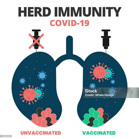 Infographic: Visualization of collective immunity, showing vaccinated and unvaccinated individuals and the spread of disease.