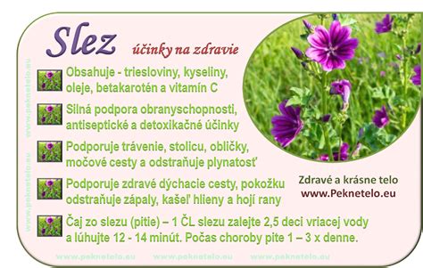 Čaj zo slezu v šálke