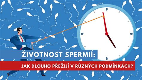 Infografika znázorňujúca prežitie spermií v rôznych podmienkach (vzduch, voda, telo)